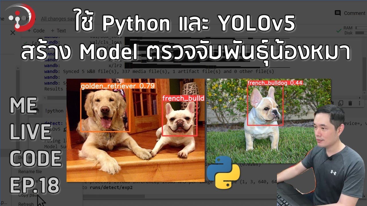 Using Python and YOLOv5 to create a dog breed detection model | Bear Life Code EP.18 by Ajarn Pee...