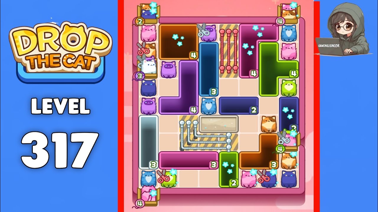 Drop The Cat level 317 solution