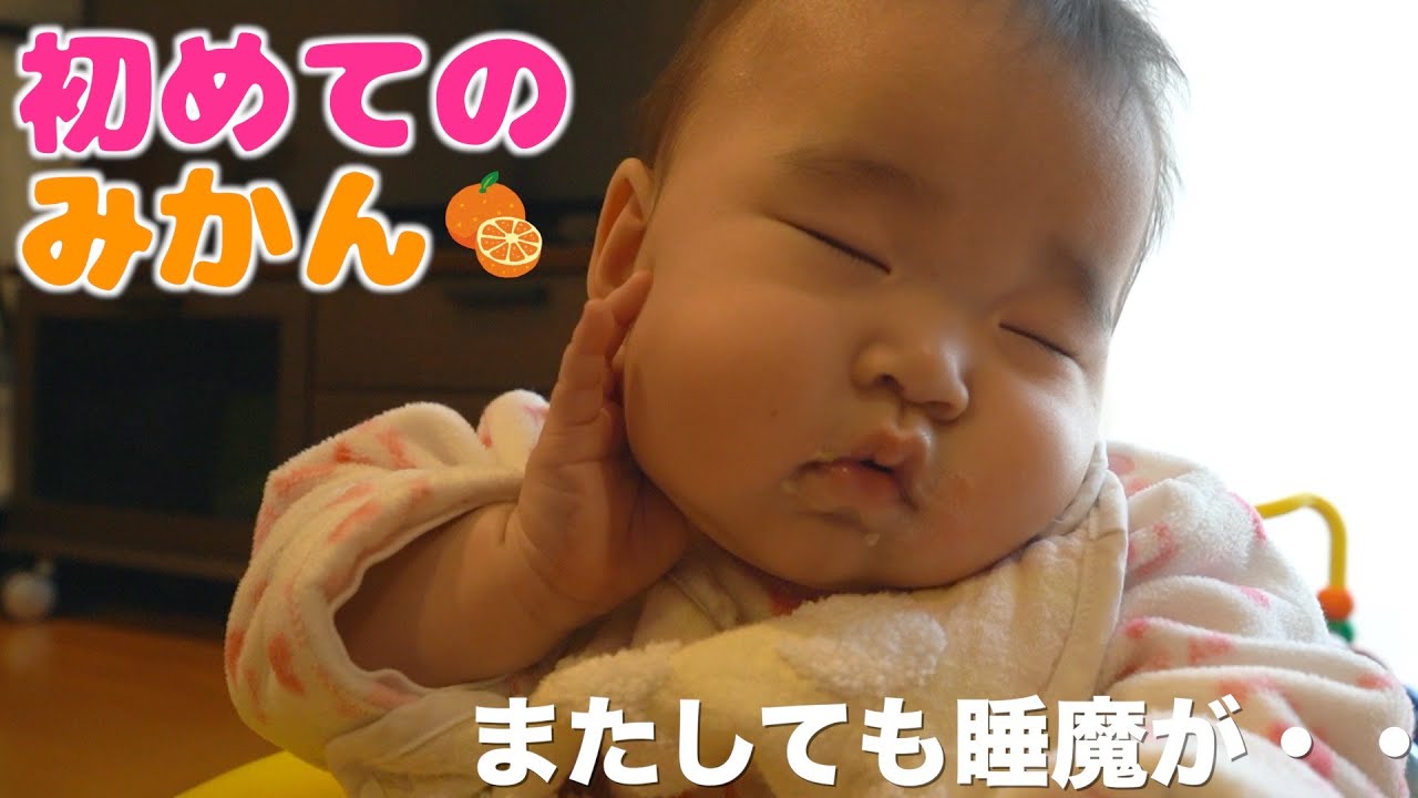 初めてのみかん！食事中にまたしても睡魔に襲われる赤ちゃん【生後８ヶ月】Yune eats mandarin oranges for the first time.