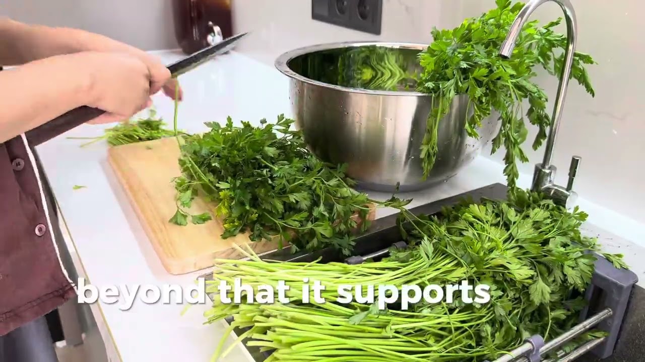 Parsley Juice Benefits | Natural Green Detox Drink