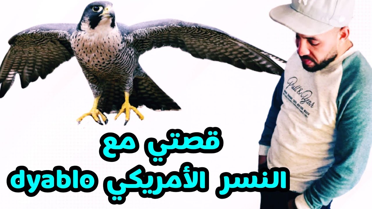 قصتي مع النسر الأمريكي Dyablo