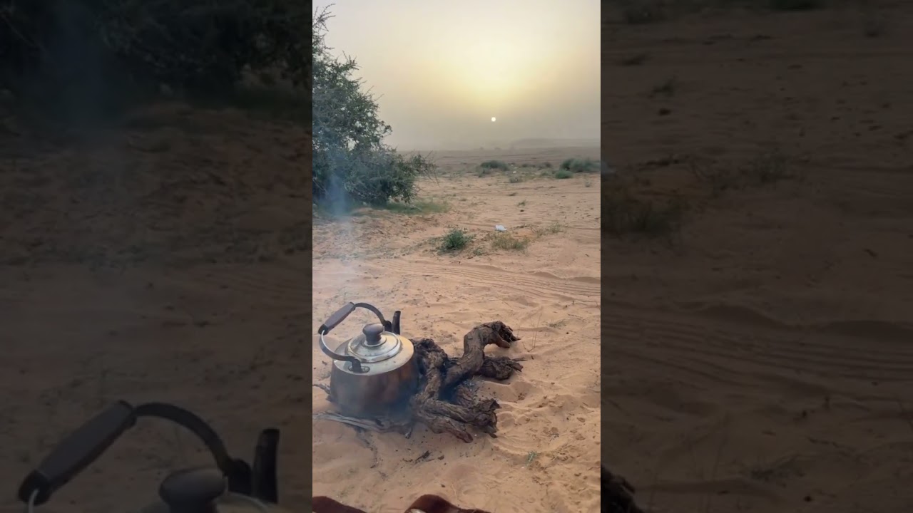 كلمات و سواليف الراوي الوايلي ذياب الشماسية 