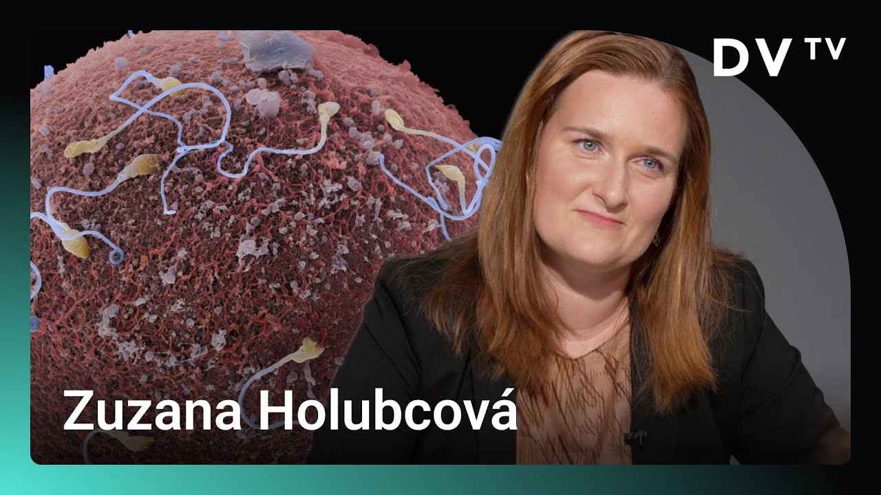 Pár dní staré embryo není člověk, spíš poukázka na život. Jen z každého třetího se narodí dítě