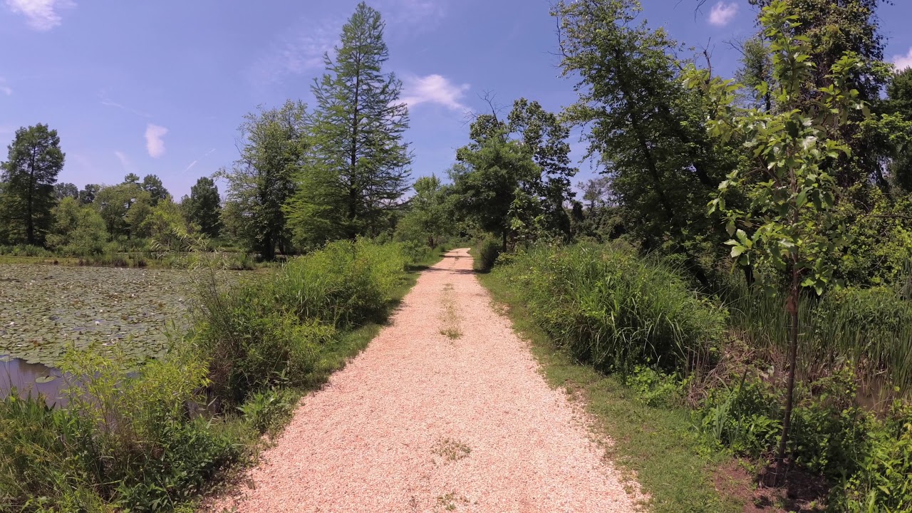 ASMR Hiking Binaural Hiking on a Gravel Trail, Blue Skies, and Relaxing Bird Chirping