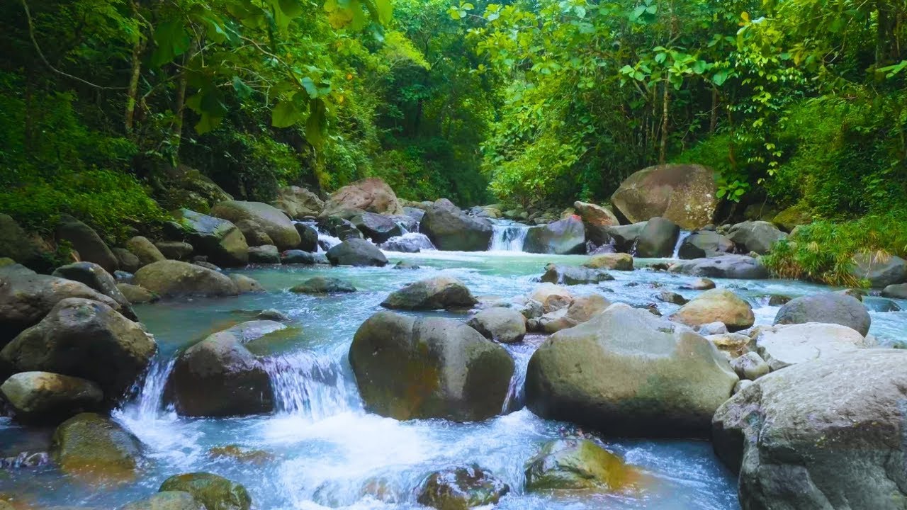 Soothing River Flow – 10 Hours of Pure Forest Ambience