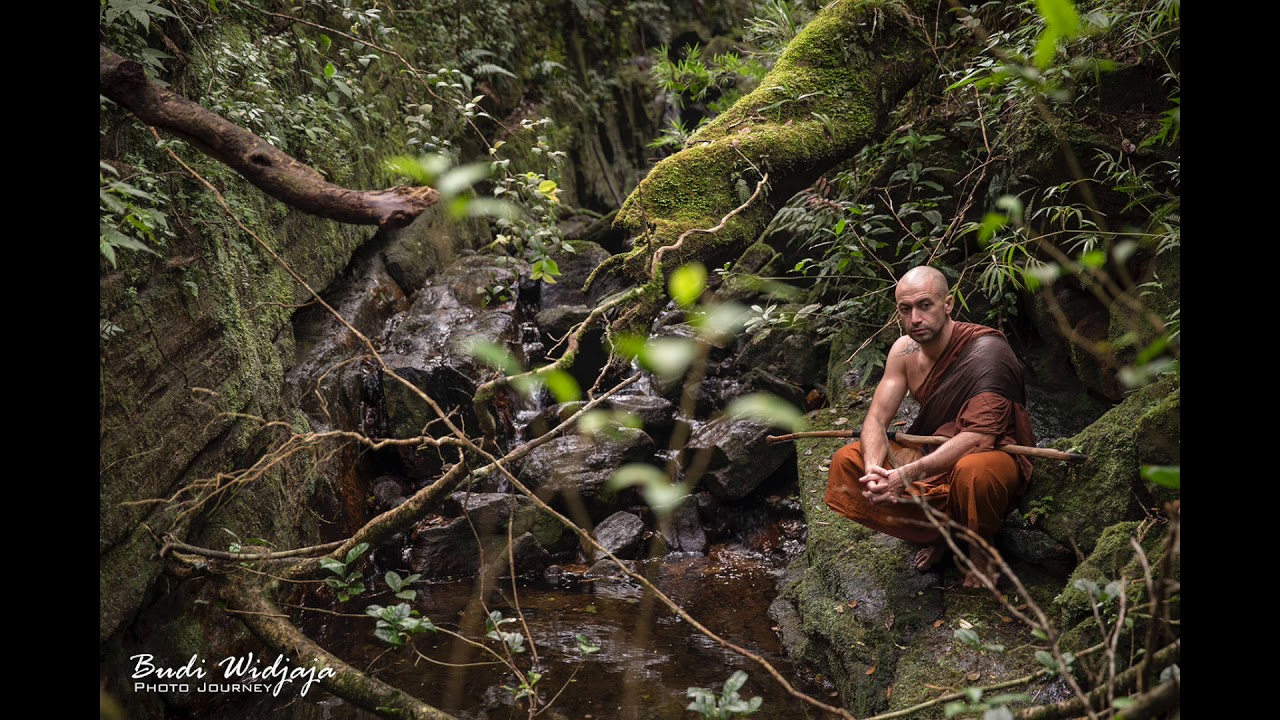 life of the forest monk