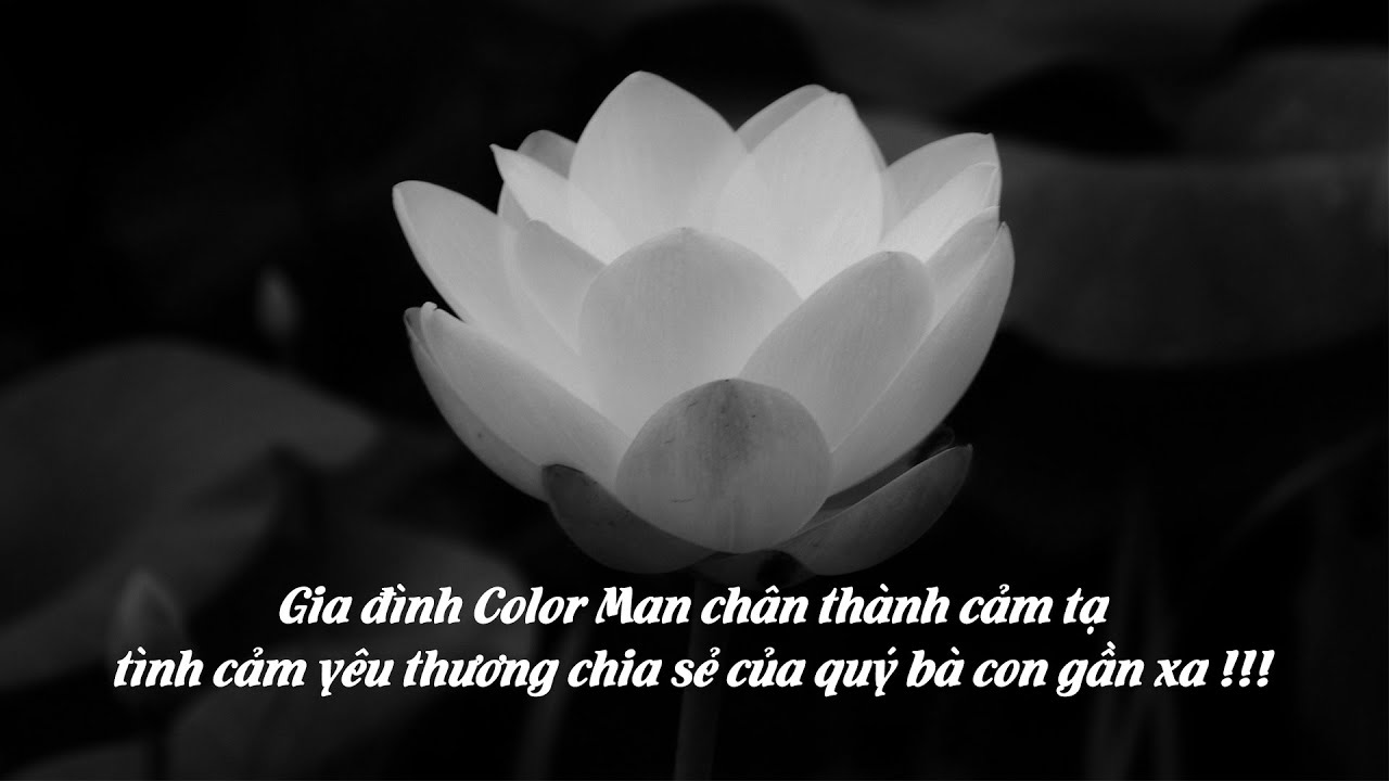 Th&agrave;nh k&iacute;nh tri &acirc;n tất cả ch&acirc;n t&igrave;nh của qu&yacute; b&agrave; con bằng hữu d&agrave;nh cho Mẹ vợ-Ngoại của ch&uacute;ng t&ocirc;i...