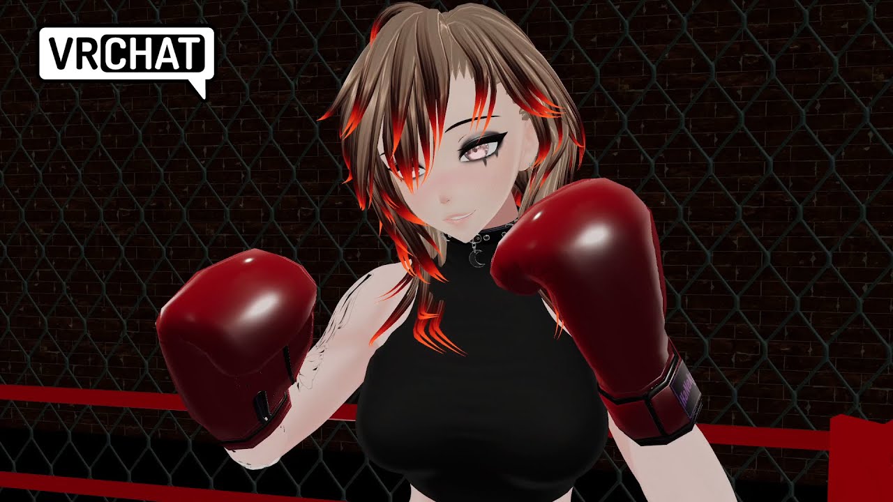 Winning in style on the 4th VRchat POV BOXING