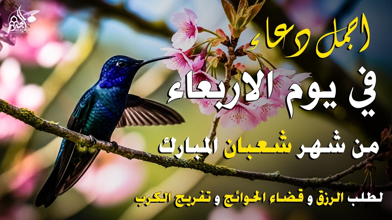 دعاء فى يوم الاثنين المستجاب دعاء في يوم 7 من شهر شعبان للرزق والشفاء العاجل وقضاء الحوائج 🤲(4k)