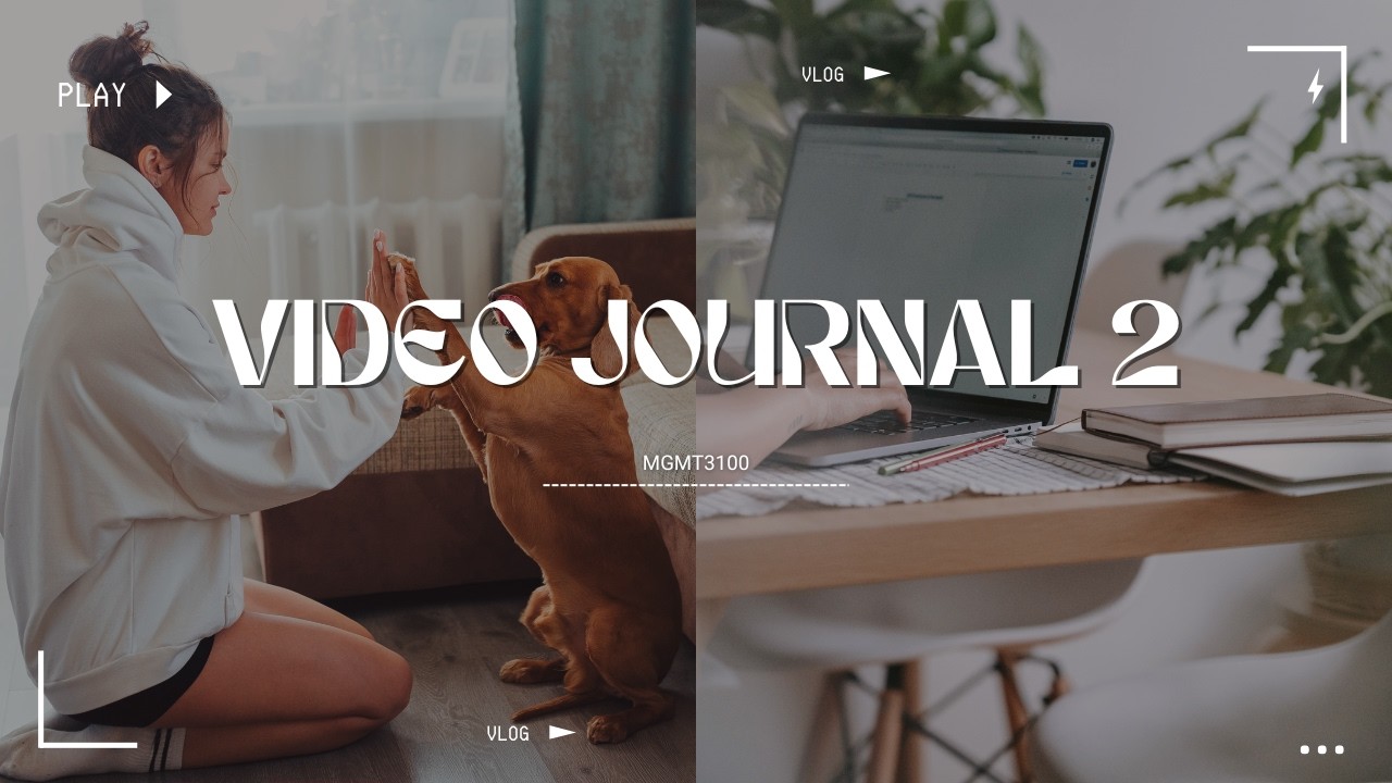 Video Journal #2