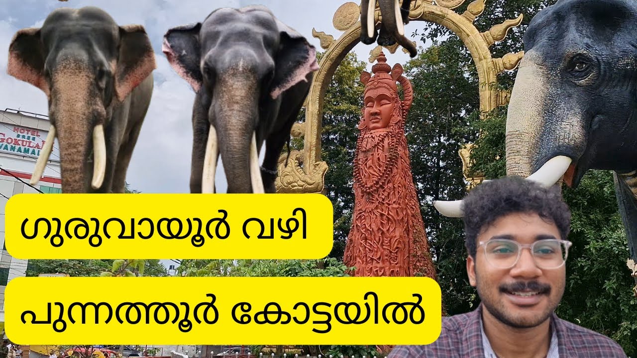 Guruvayoor Punnathur Kotta Elephant Sanctuary | Guruvayoor Temple | Thrissur