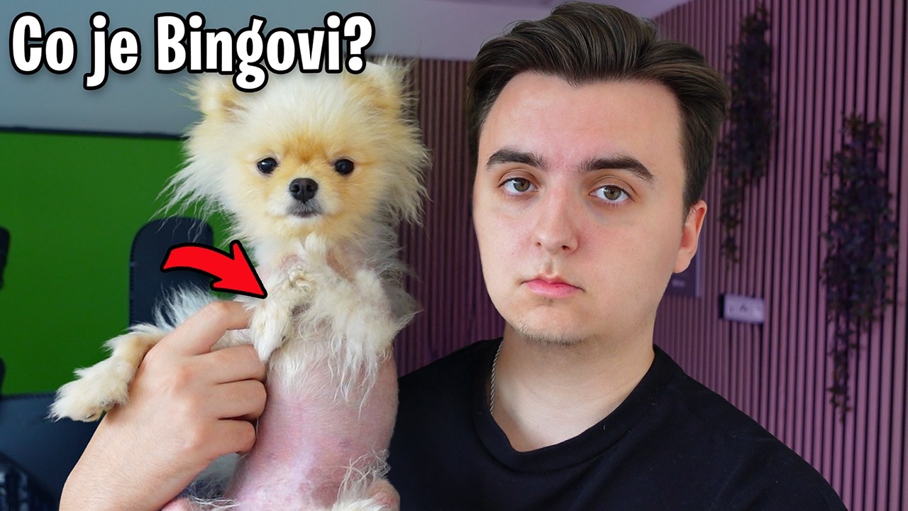 Co se Stalo Bingovi...?