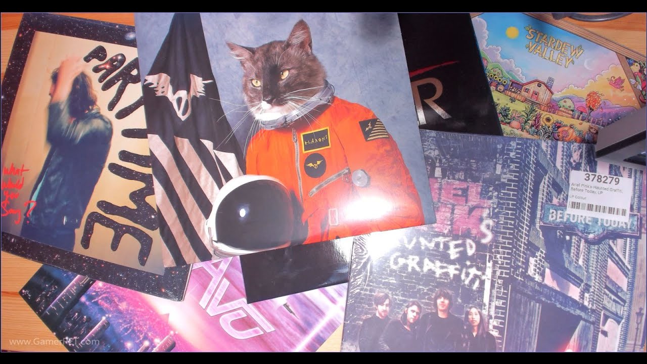 PET's 2020 Vinyl Records