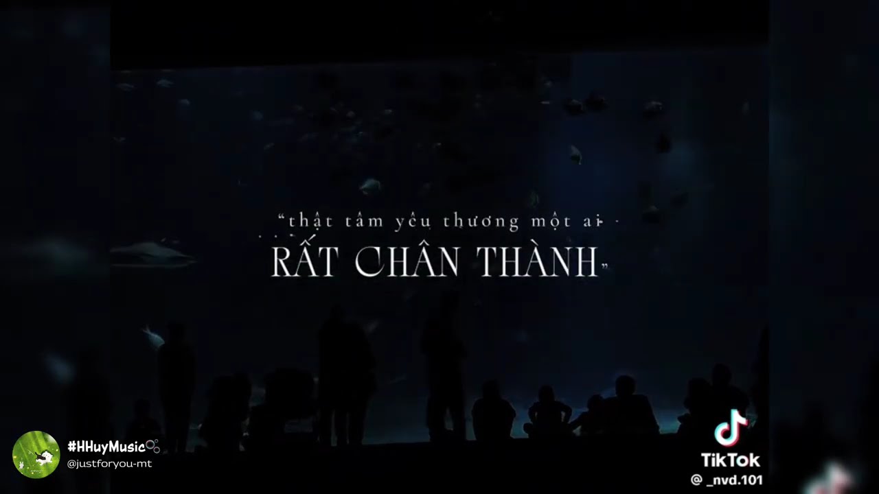 [TikTok] 🎵Tổng hợp những bản nhạc lyric chill cực cuốn trên TikTok mà có thể bạn chưa biết?✨