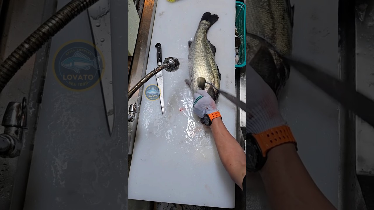 Awesome fish cutting skills! #Amazing #video #salmon #cutting #skills #foryou #reels #shorts #fish