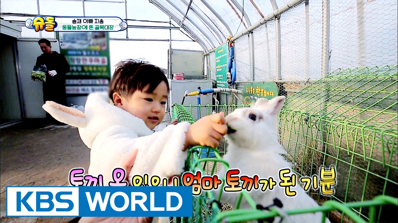 King of the streets Seungjae appear at an animal farm [The Return of Superman / 2017.01.29]