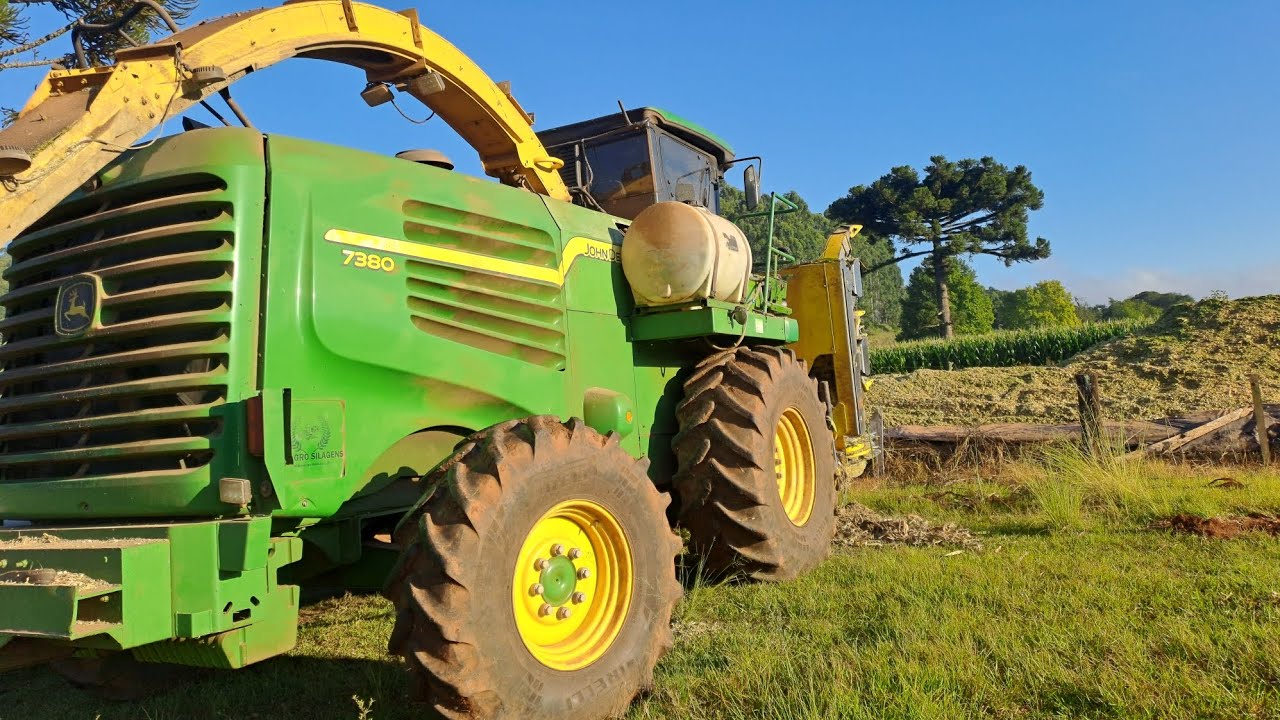John deere 7380 fazendo silagem 25/26