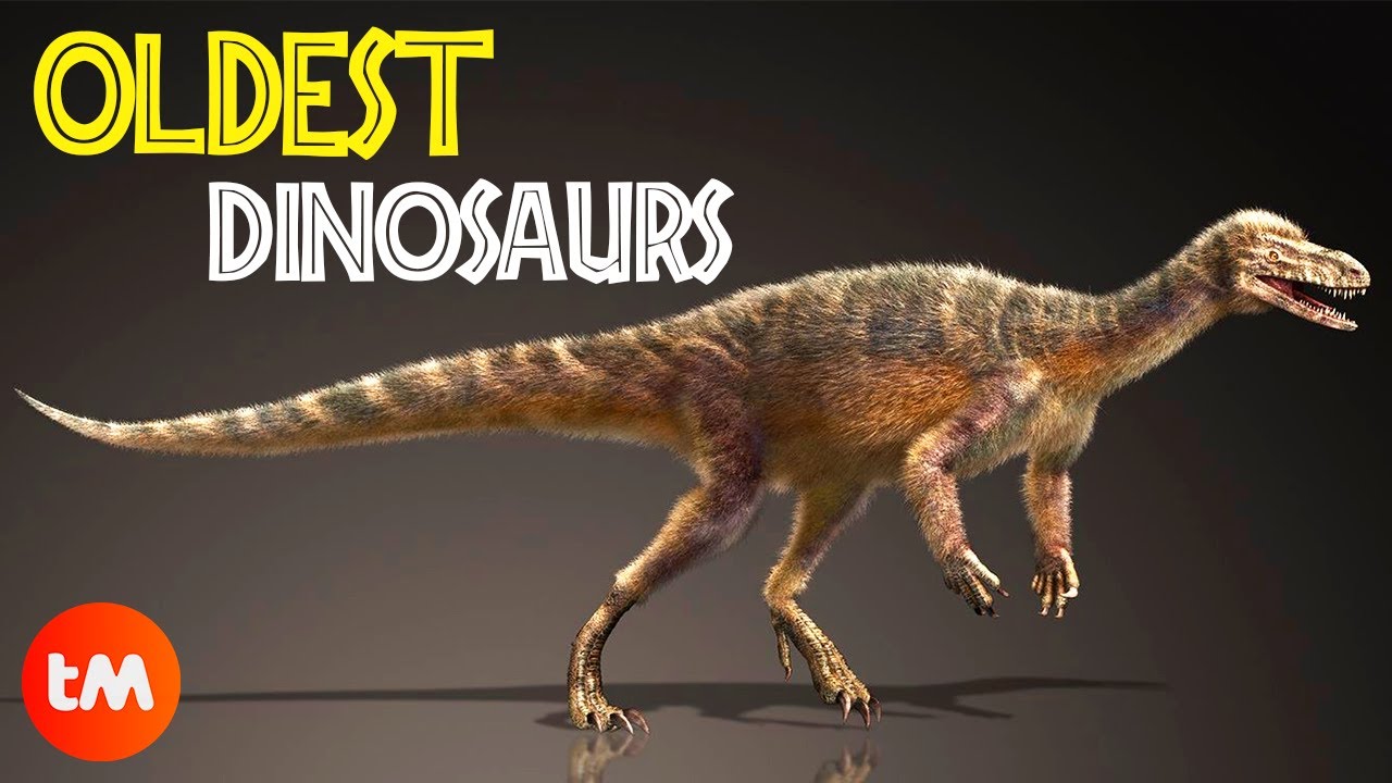 The OLDEST DINOSAURS Found 🦖