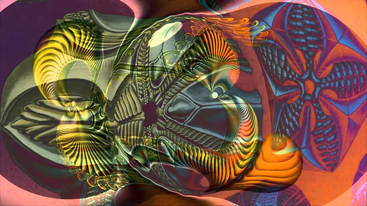 Fractals meet Haeckel`s 