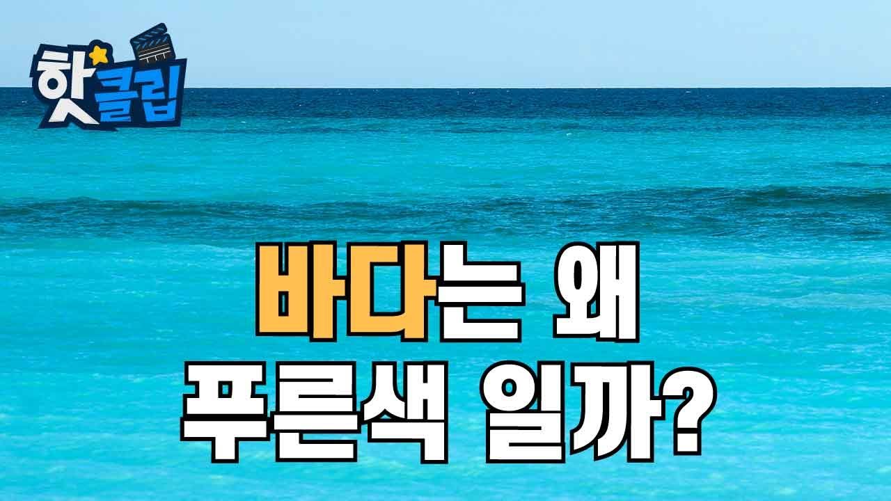 바다가 파랗게 보이는 이유 [핫클립] / YTN 사이언스