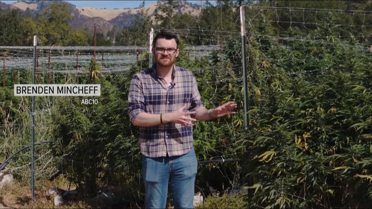 Brenden Mincheff – More Than Just Weather! | SPJ EMERGING JOURNALIST SUBMISSION REEL
