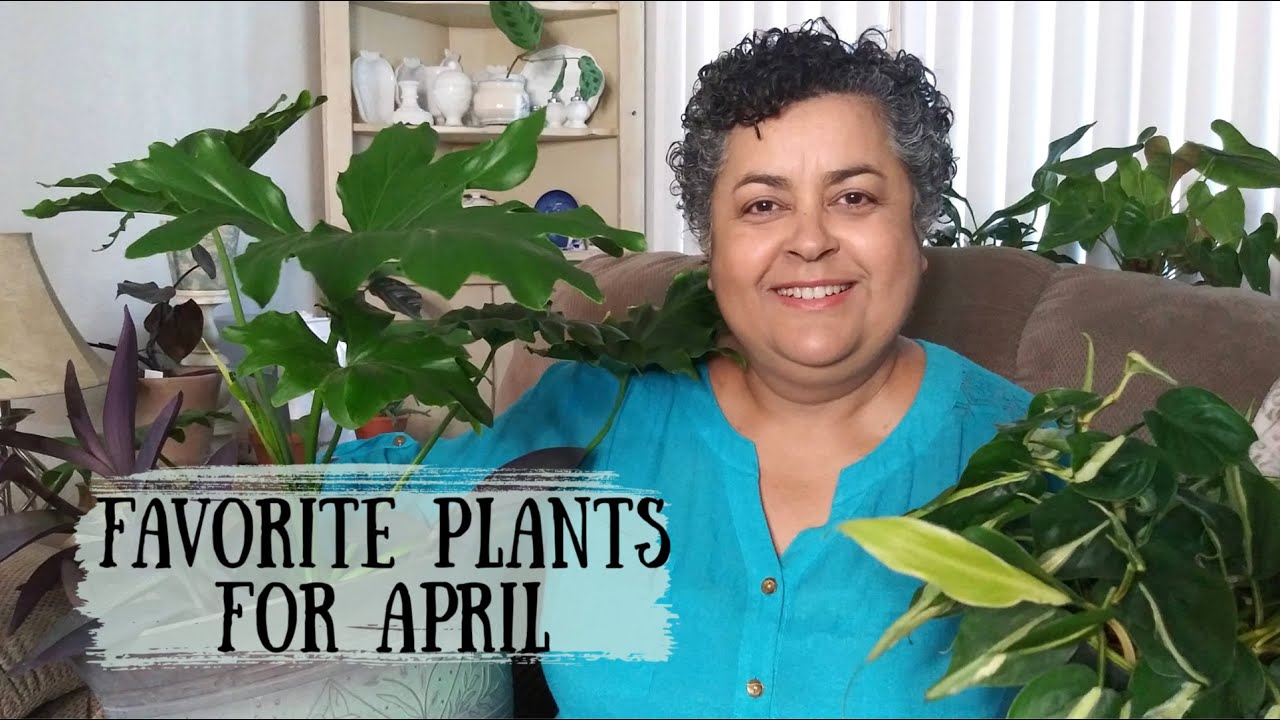 Favorite Plants For April | Spring Growth of Plants