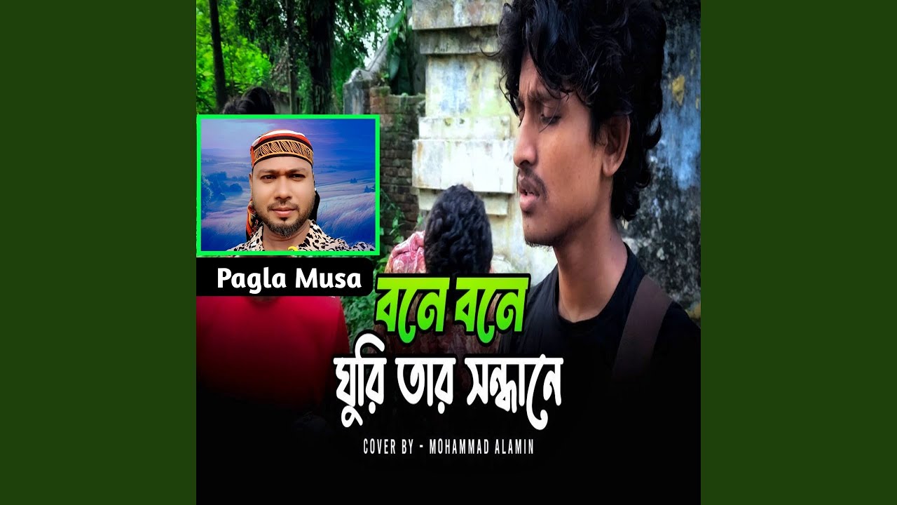 বনে বনে ঘুরি তার সন্ধানে (feat. Mohammad Alamin)
