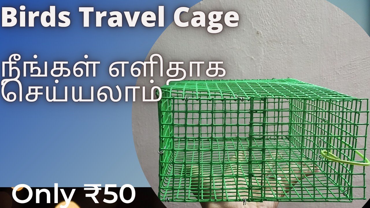 How to make Birds Travel Cage in Home ...? || Easy Steps & Low Cost Travel Cage in Tamil