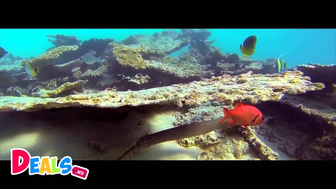 Blue Bay Marine Park - Parc marin de Blue Bay (Mauritius &ndash; Ile Maurice)