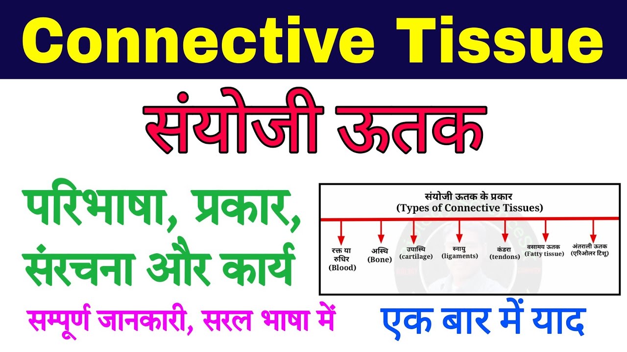 sanyoji utak | connective tissue in hindi | connective tissue anatomy and physiology | animal tissue