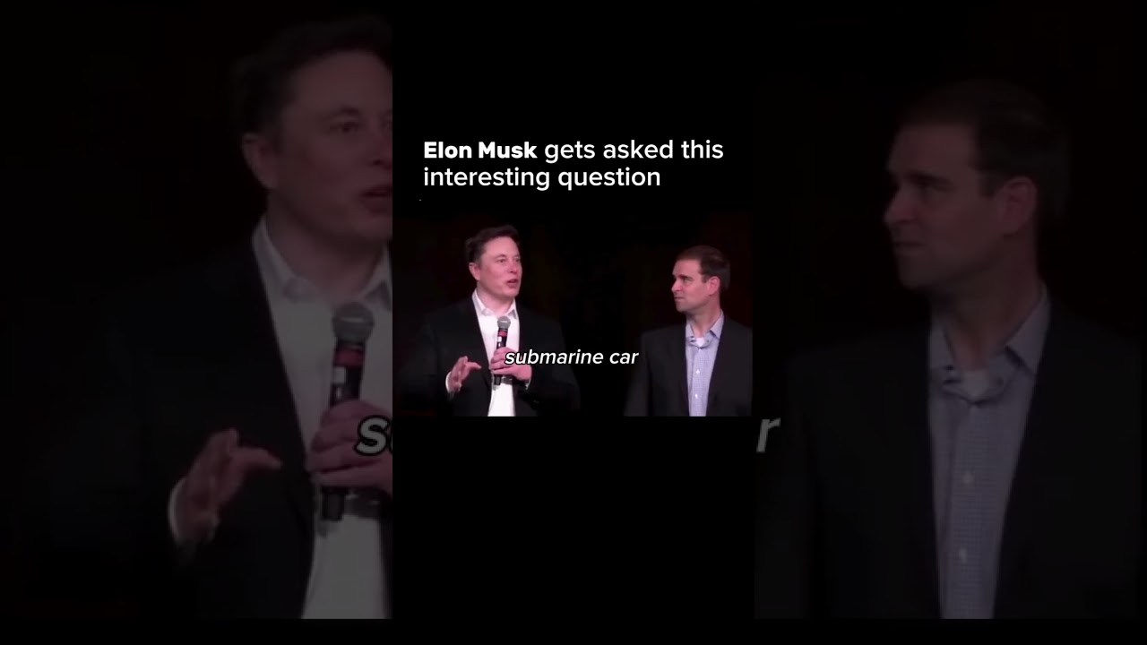 Elon Reeve Musk is the CEO and largest shareholder of Tesla and SpaceX.