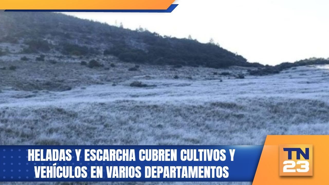 Heladas y escarcha cubren cultivos y vehículos en varios departamentos