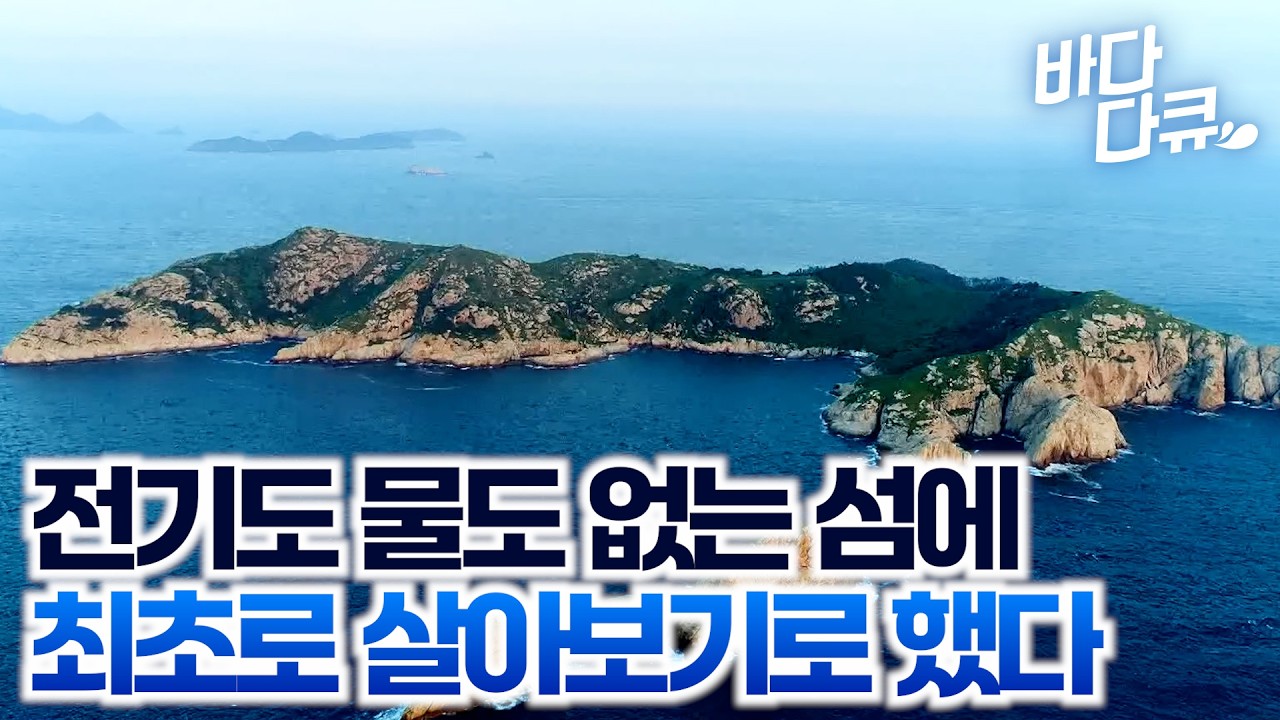 무인도였던 섬에 정착해 사는 남자를 만났다. 단 한사람이 사는 유인도의 정체 / #바다다큐