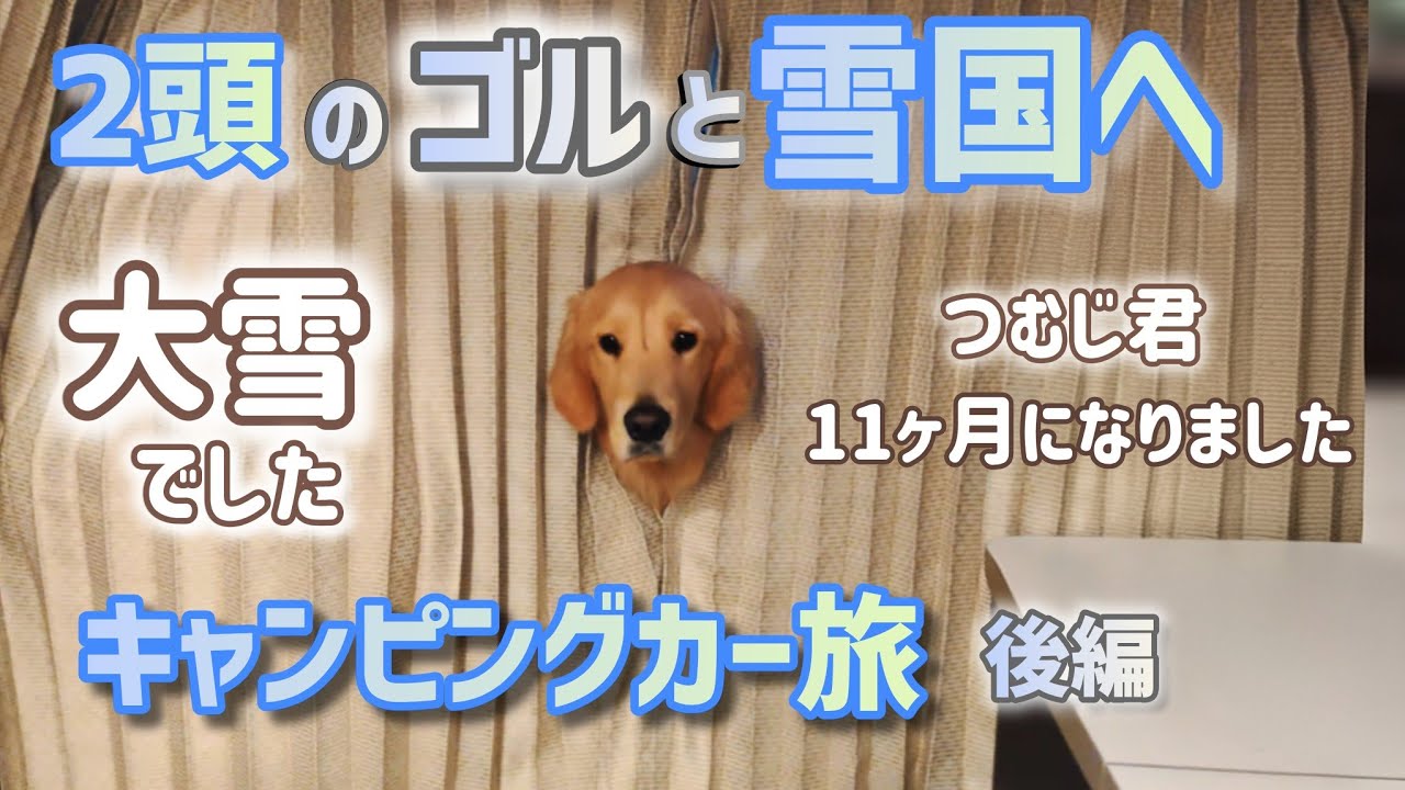 独身中年と2頭のゴル【キャンピングカー旅】雪国でスピ活@後編