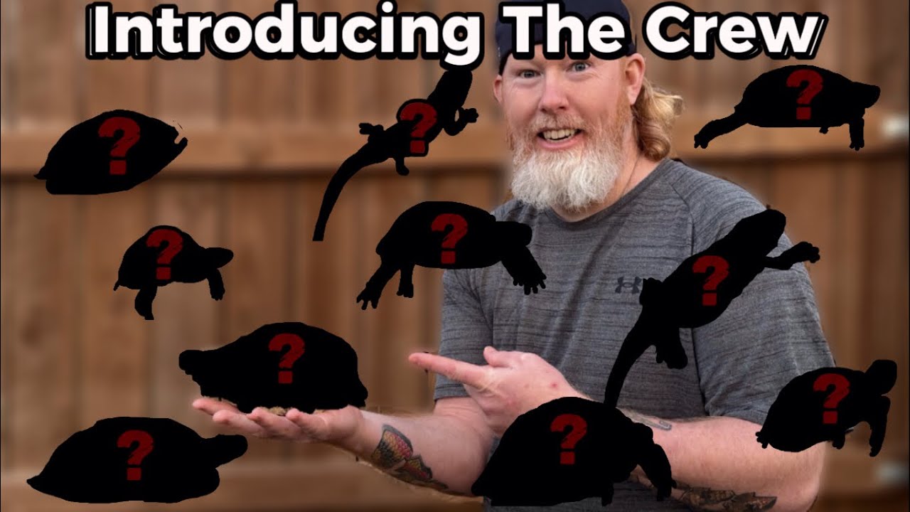 Introducing The Crew! || Introduction To My Channel! ||
