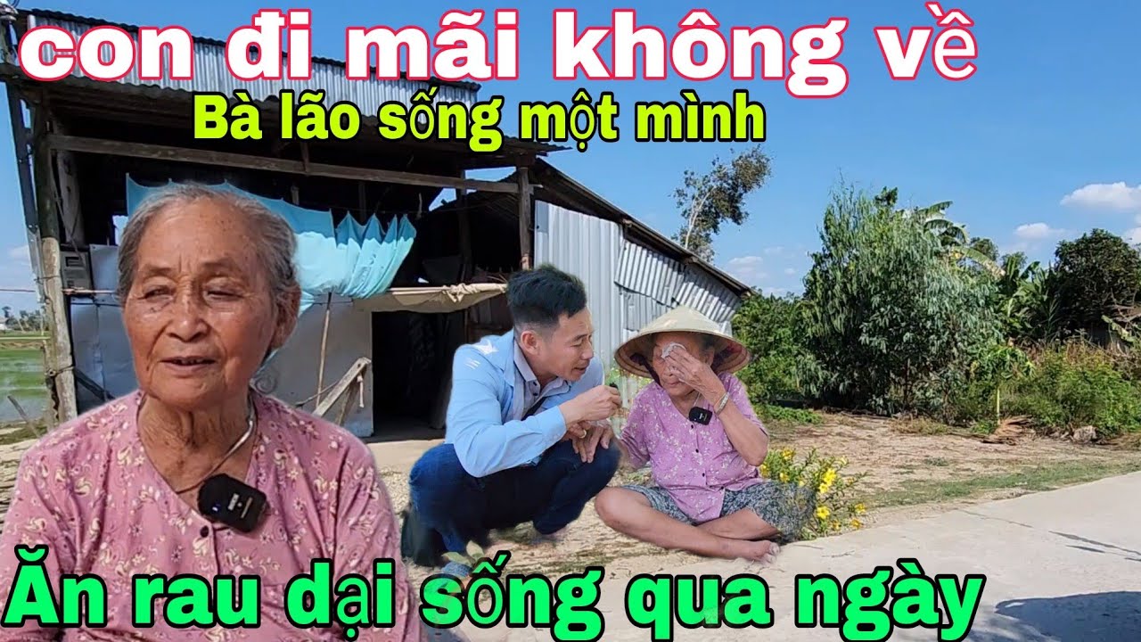 Con đi mãi không về Bà lão sống một mình ăn rau dại sống qua ngày
