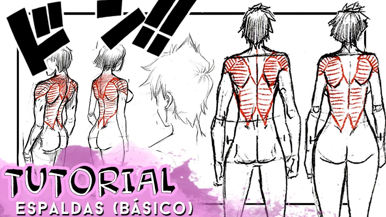 COMO DIBUJAR ESPALDAS (BÁSICO) | Why So Gurin
