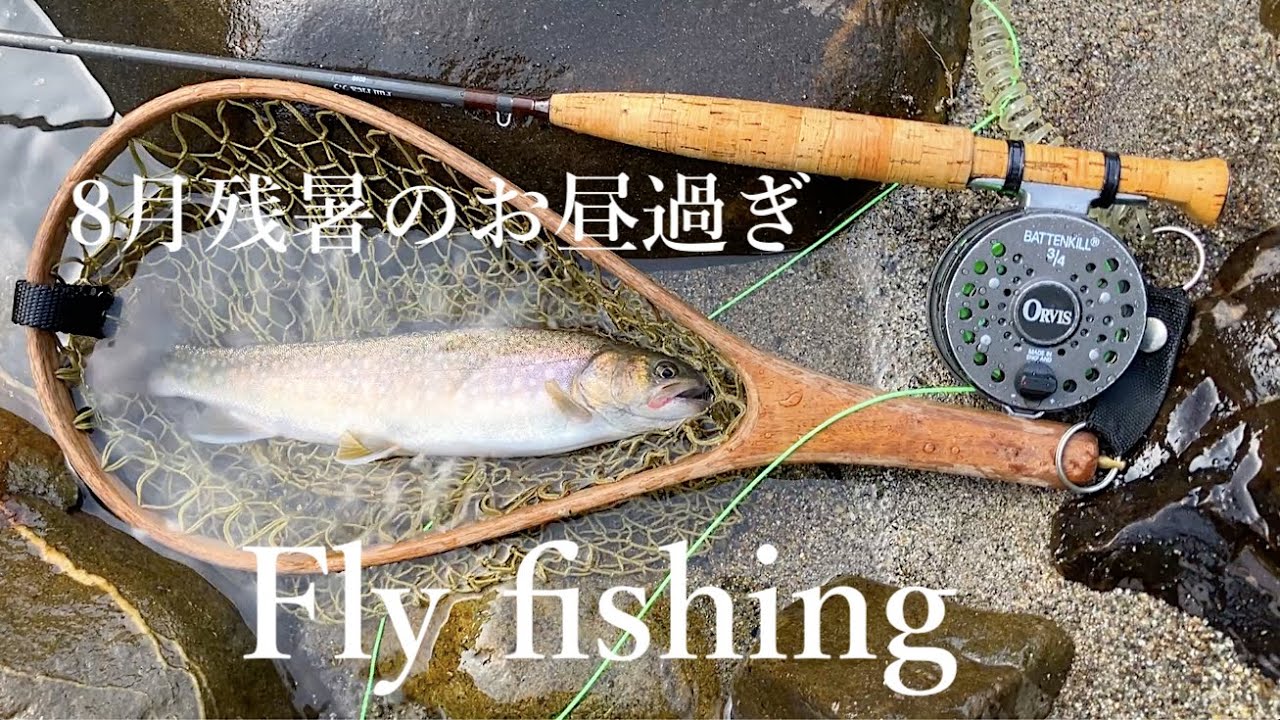 8月残暑のお昼過ぎ #flyfishing #フライフィッシング #イワナ