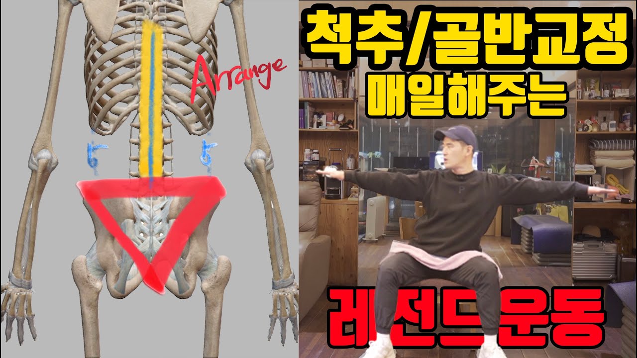 척추와 골반을 교정해주는 매일매일 레전드 스트레칭