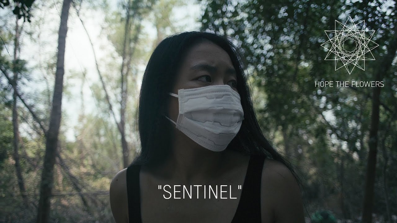 Hope The Flowers - Sentinel (Official Video)