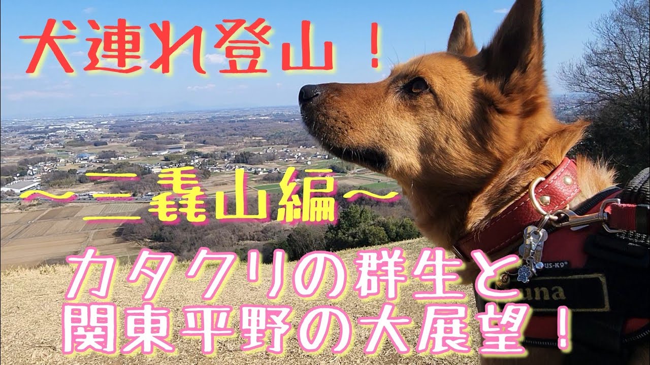 【犬連れ登山！】三毳山編。カタクリの群生と関東平野の大展望！