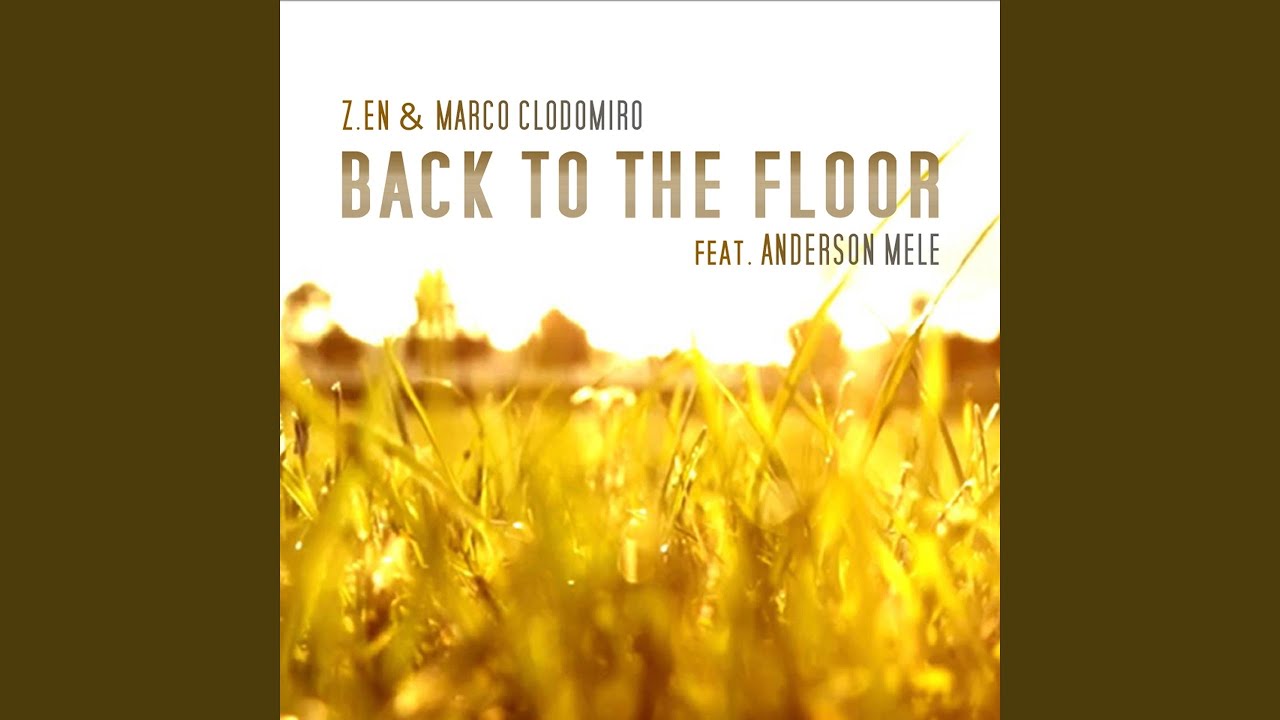 Back to the Floor (feat. Anderson Mele) (Enzo Zagaria Club Radio Edit)