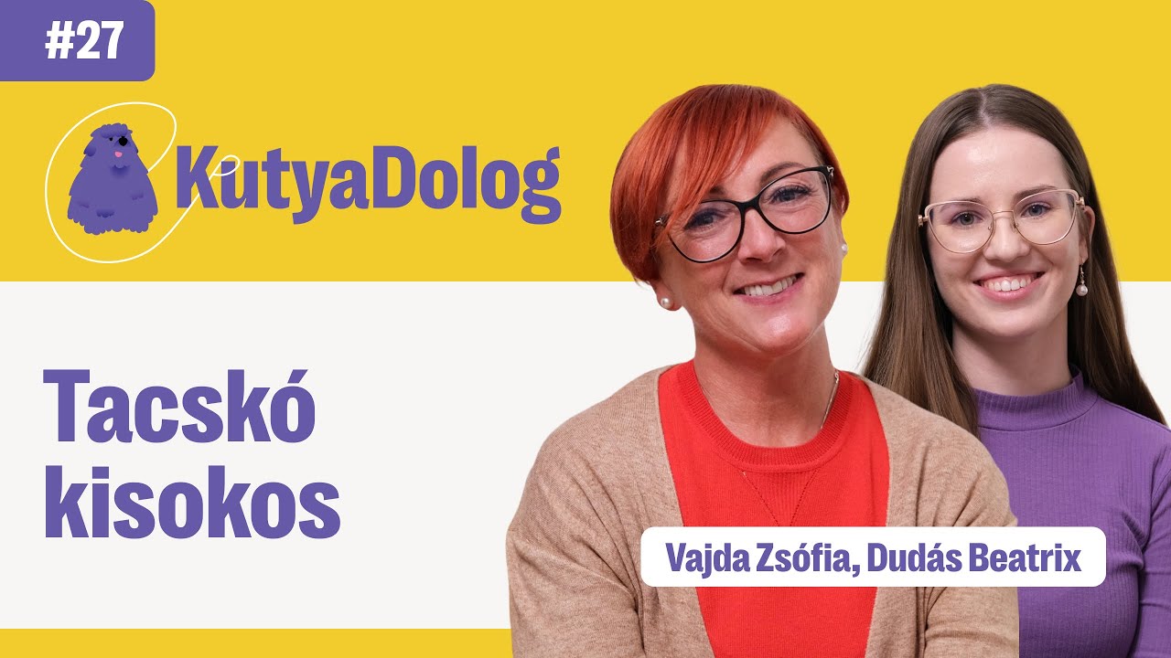 Tacskó: mitől különleges és miért imádják annyian? | KutyaDolog podcast #27
