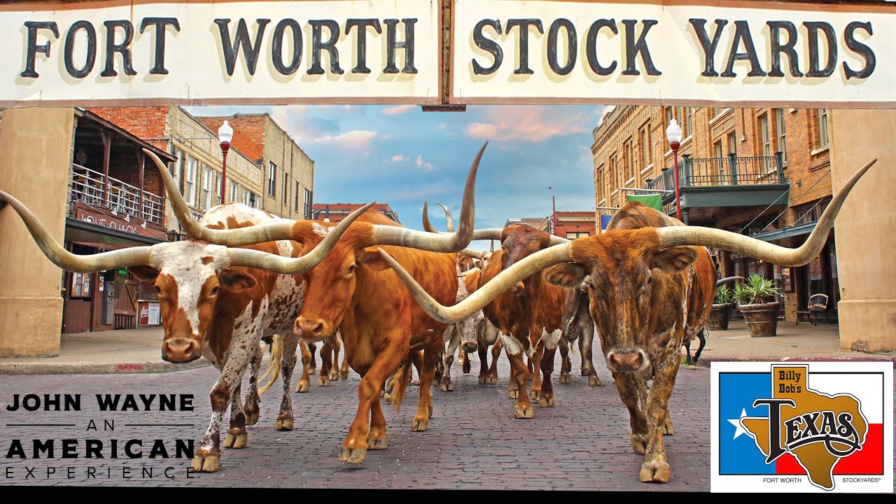 Fort Worth Stock Yards | Billy Bobs, Cattle Drive, Museums and More.