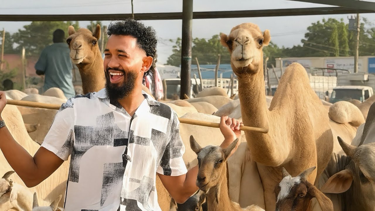 Крупнейший рынок скота в Восточной Африке 🐪 🐐 🐄 || Крупнейший рынок скота в Восточной Африке (Гар...