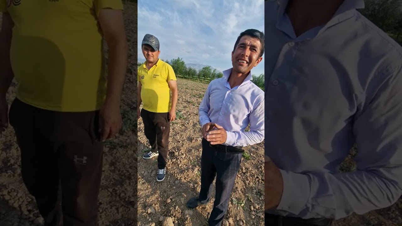 Мақсудҷони Панҷакентӣ дар тарбузкорӣ маро дар ҳайрат гузошт.