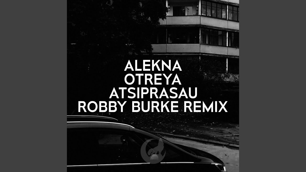 Atsiprašau (Remix)