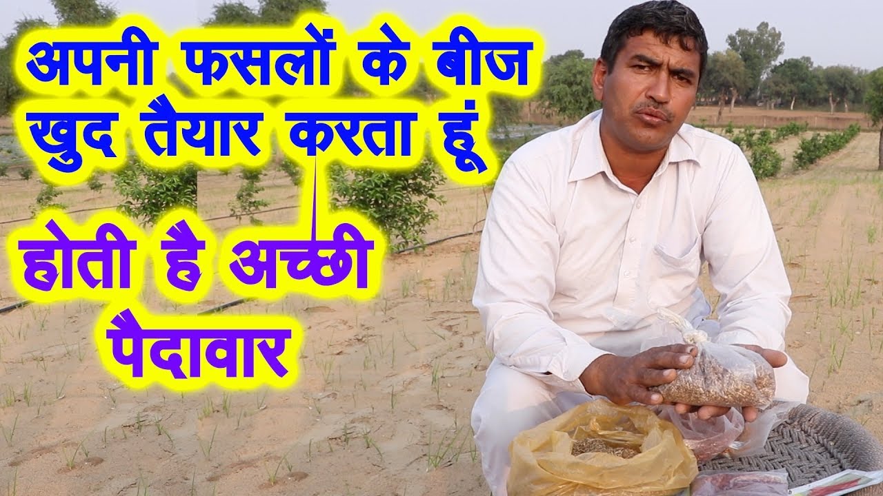 अपनी फसलों के बीज खुद ऐसे तैयार करें produce own seed, save money, Progressive Farming