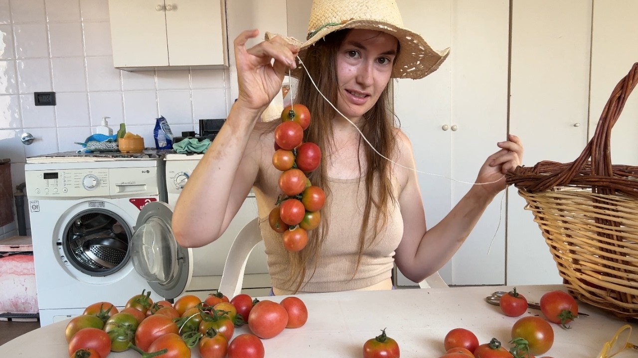 Un día de verano en el huerto - Cuelgo tomates - Te enseño diferentes variedades - Cosecha julio