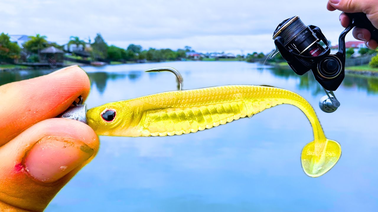 Is This The NEW BEST Paddle-Tail PLASTIC For Land Based Fishing?